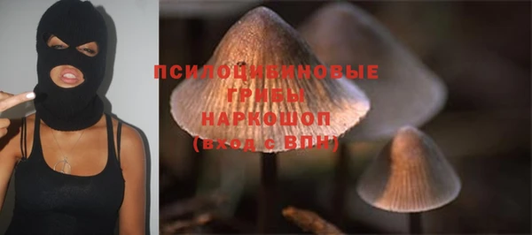 мяу мяу мука Баксан