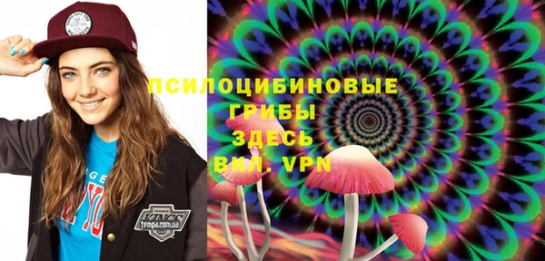 PSILOCYBIN Балабаново