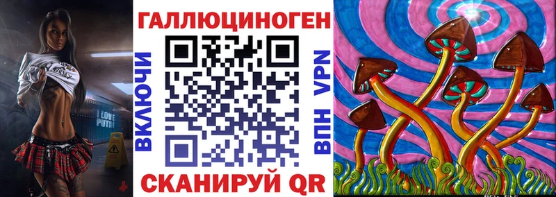 darknet как зайти Бологое Псилоцибиновые грибы GOLDEN TEACHER OMG ССЫЛКА